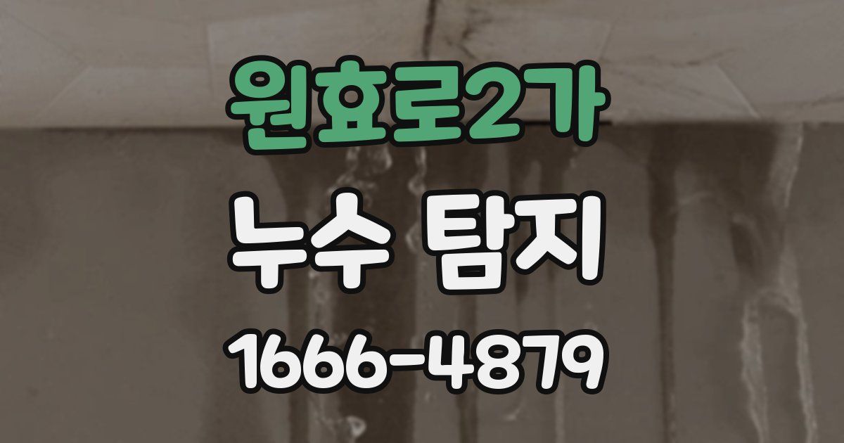 원효로2가 누수 탐지