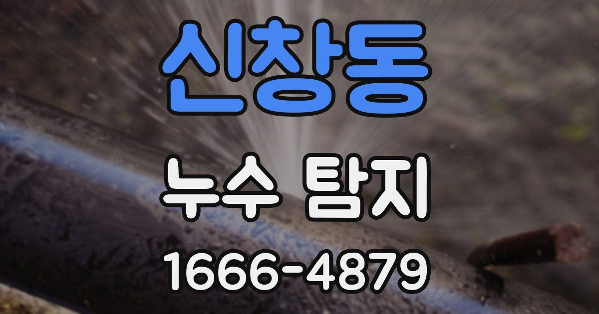 신창동 누수 탐지