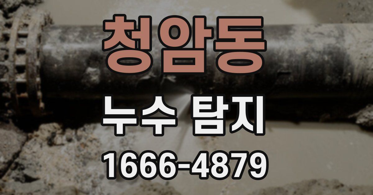 청암동 누수 탐지