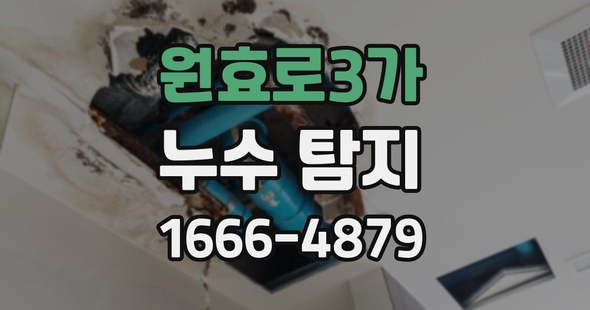 원효로3가 누수 탐지