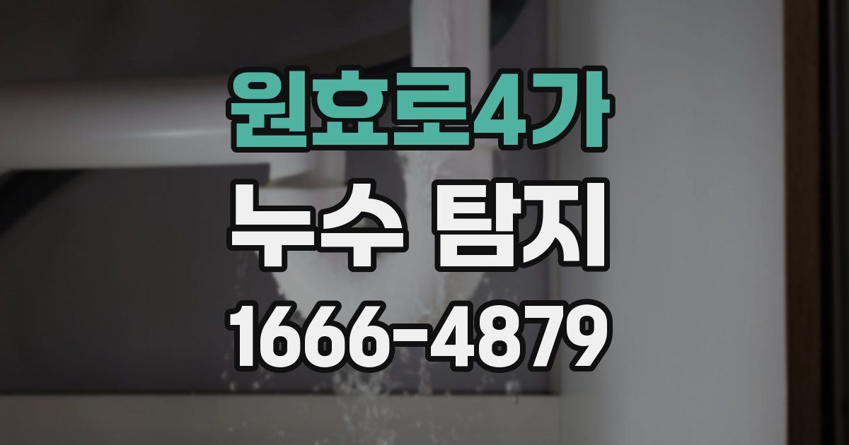 원효로4가 누수 탐지