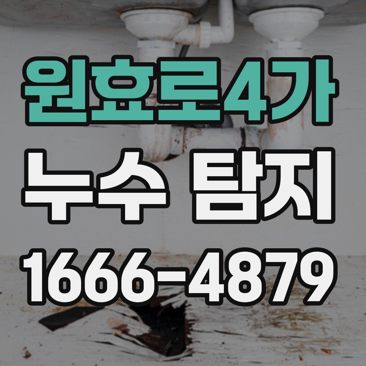 원효로4가 누수 탐지