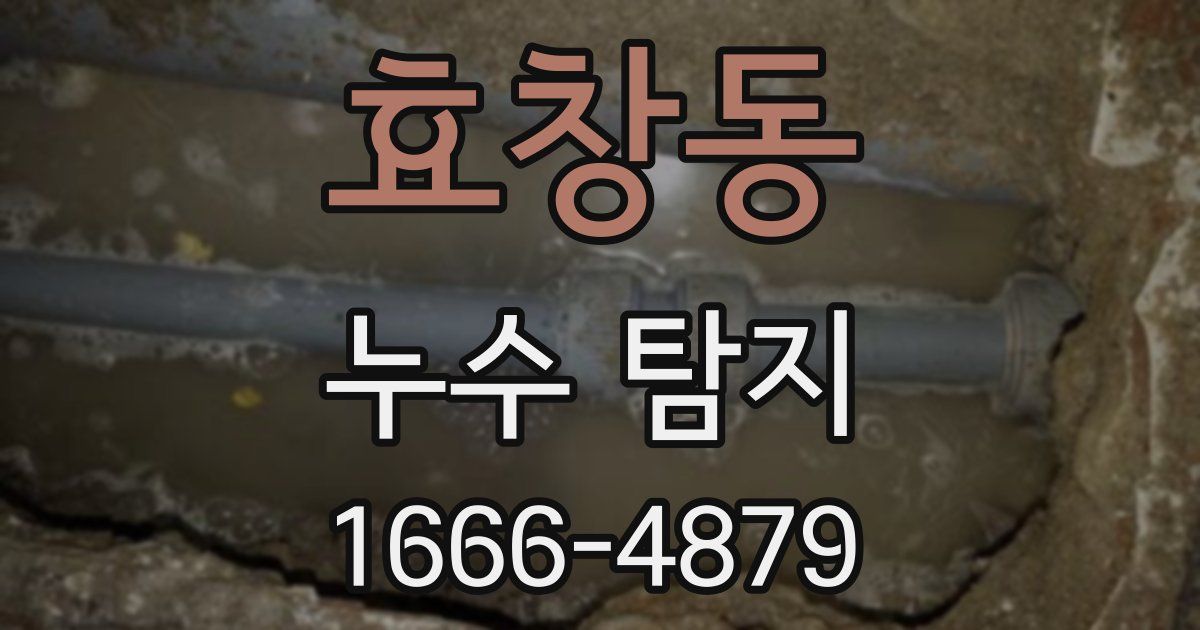 효창동 누수 탐지