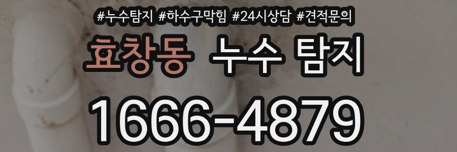 효창동 누수 탐지