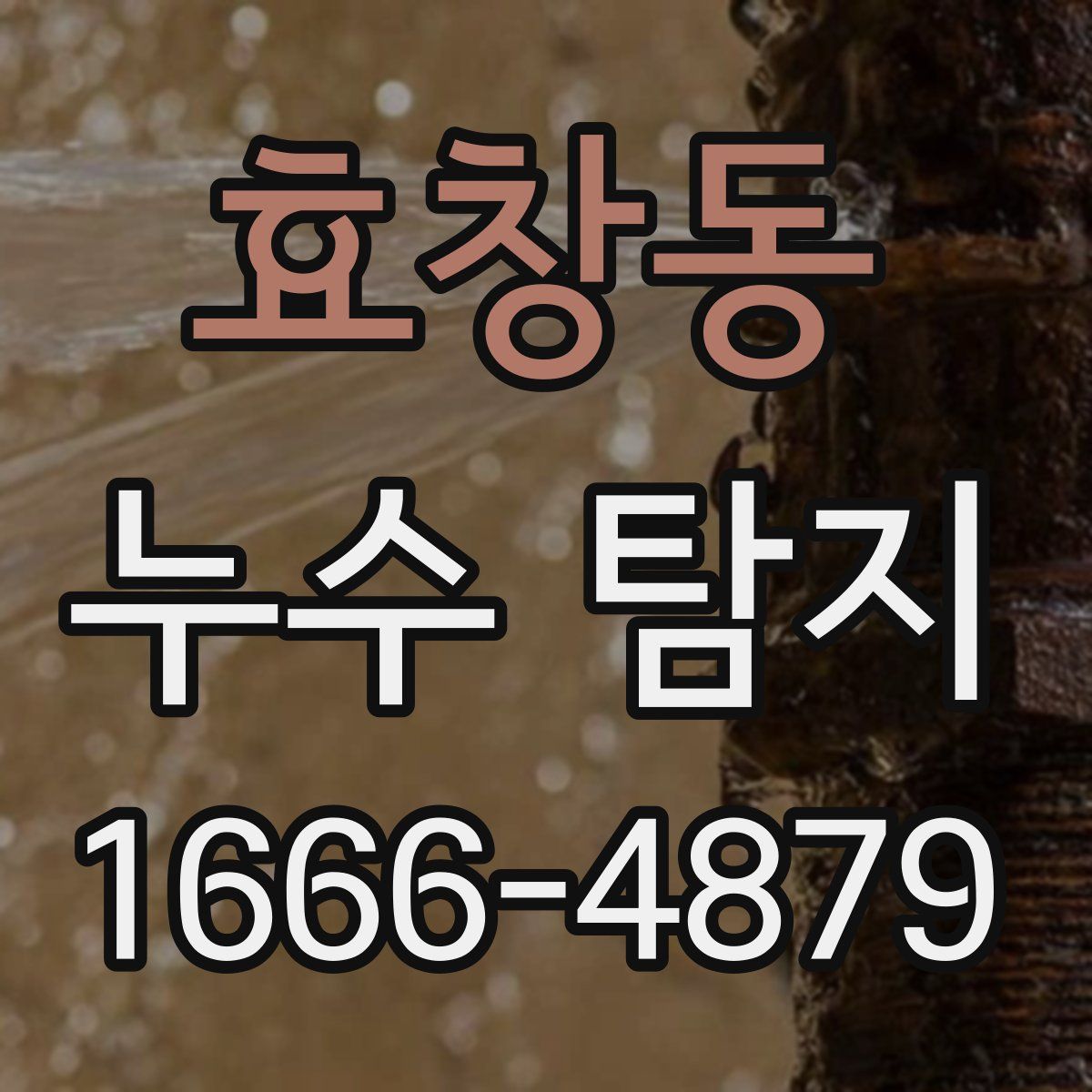 효창동 누수 탐지