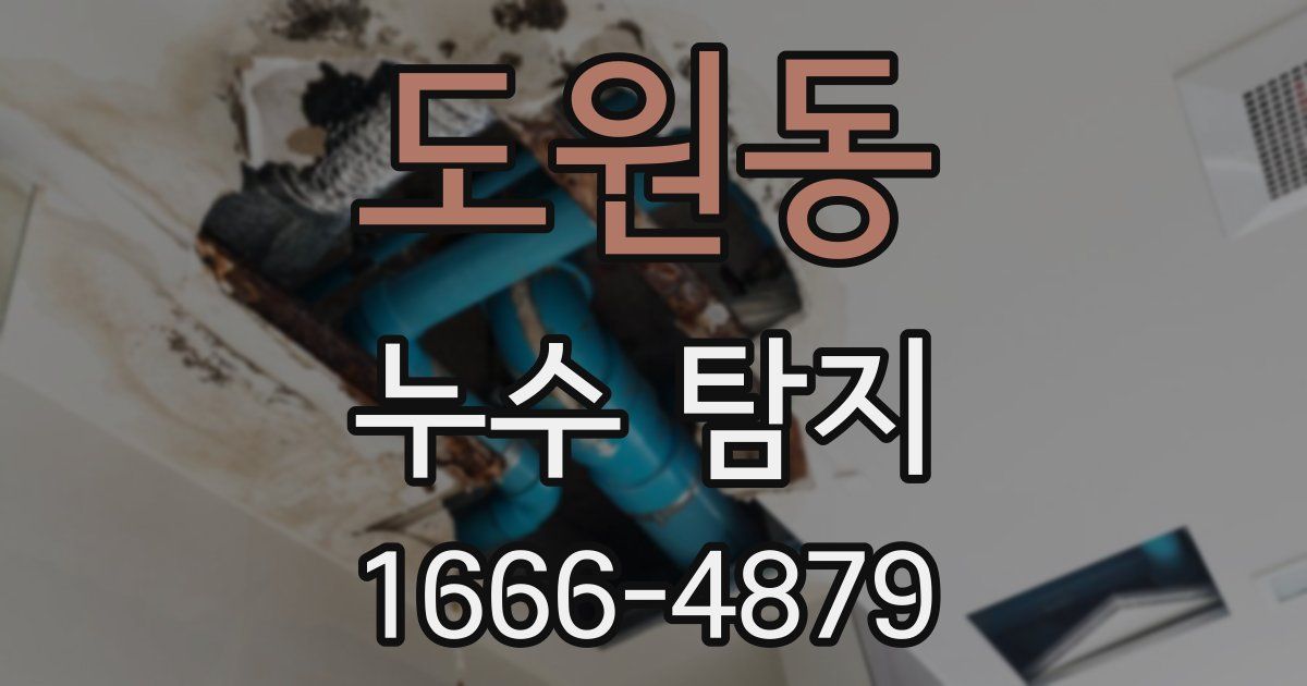 도원동 누수 탐지