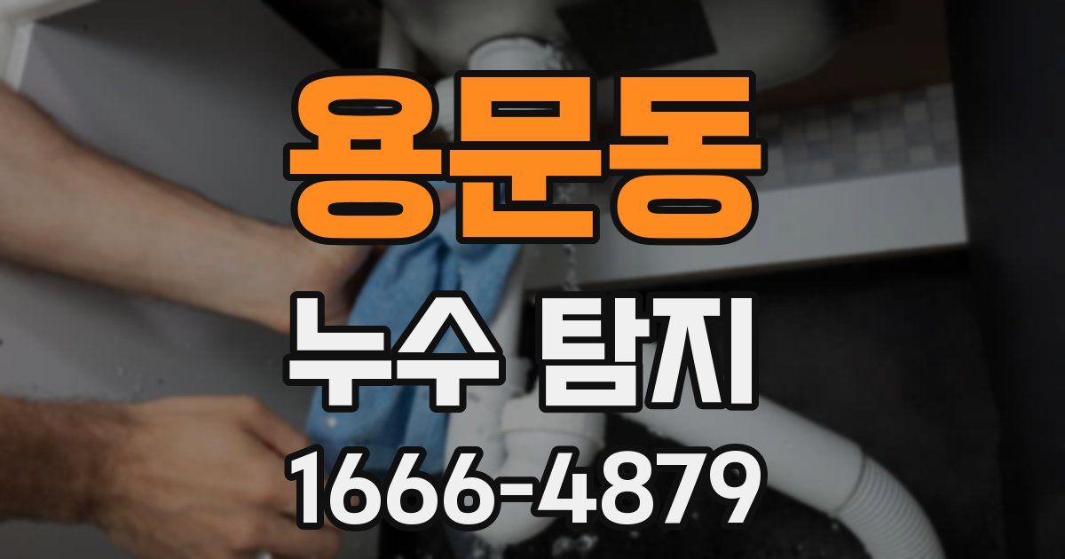 용문동 누수 탐지