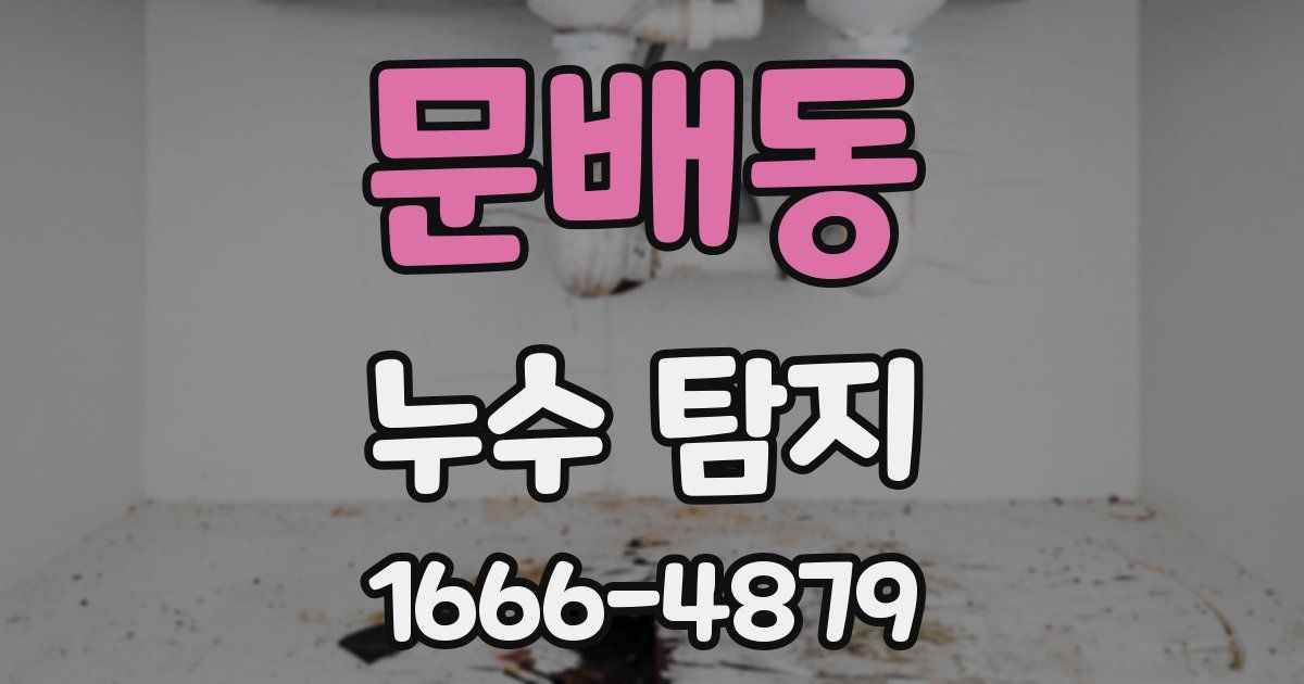 문배동 누수 탐지