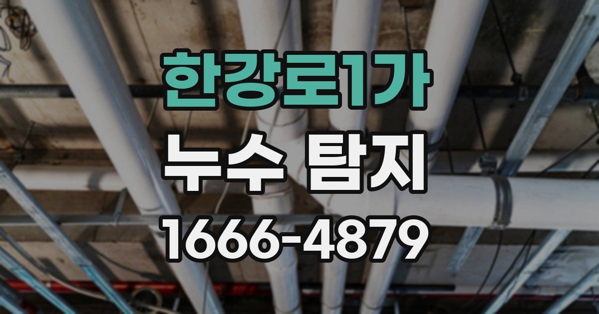 한강로1가 누수 탐지