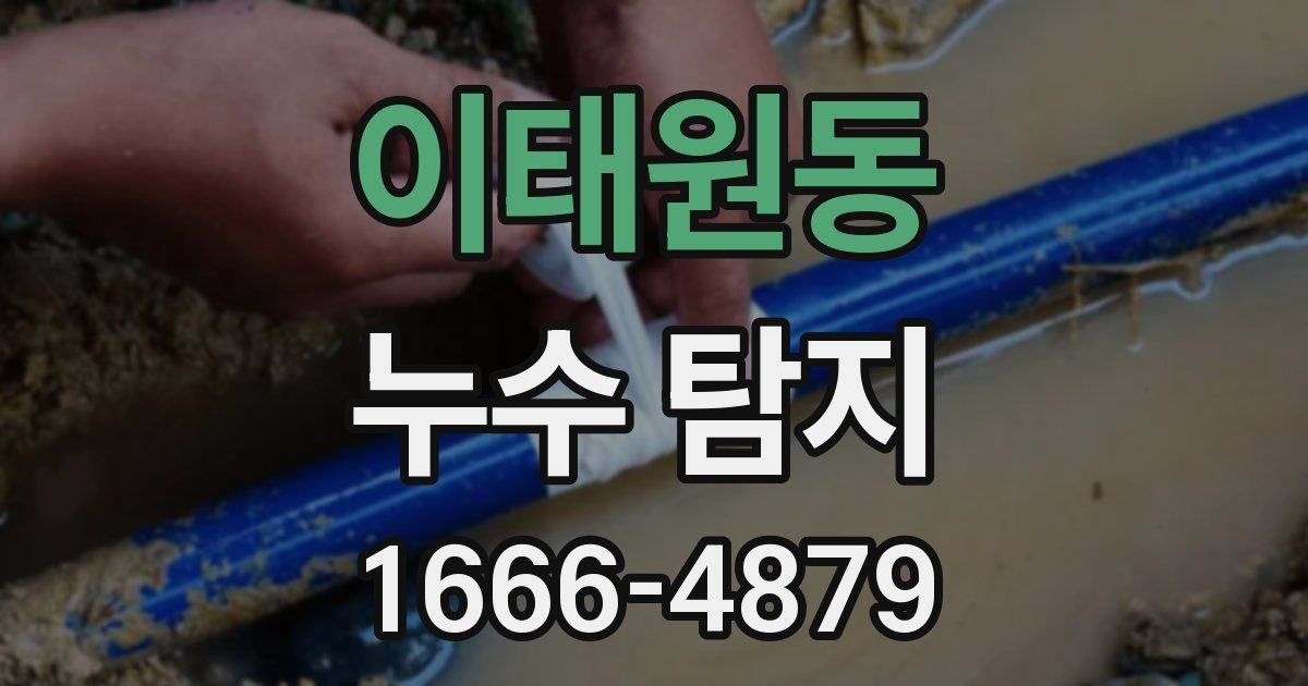 이태원동 누수 탐지