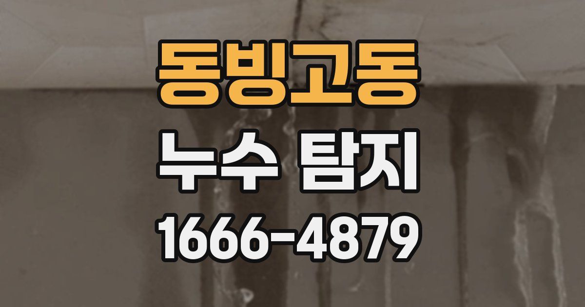 동빙고동 누수 탐지
