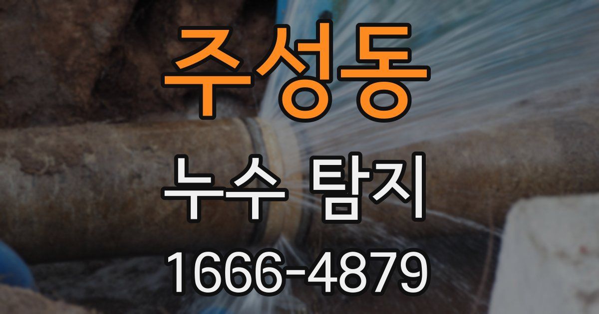 주성동 누수 탐지