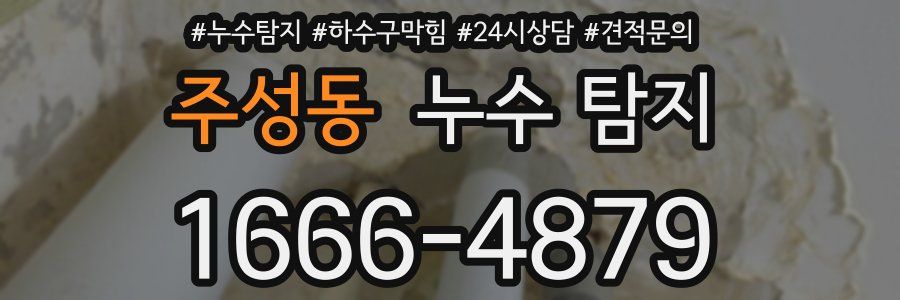 주성동 누수 탐지