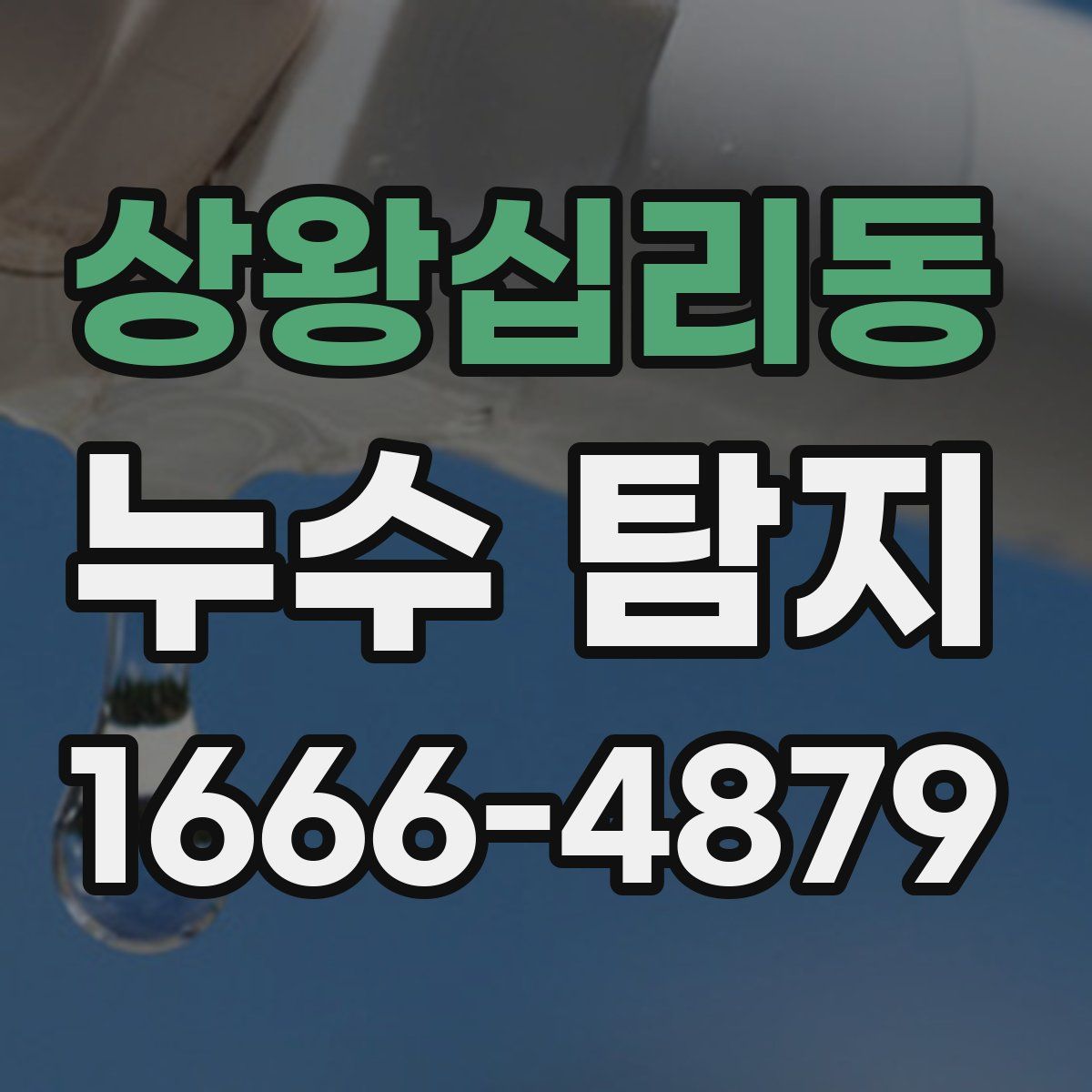 상왕십리동 누수 탐지