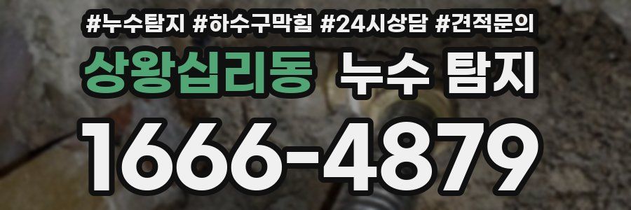 상왕십리동 누수 탐지