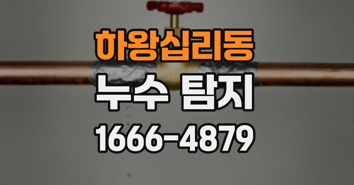 하왕십리동 누수 탐지