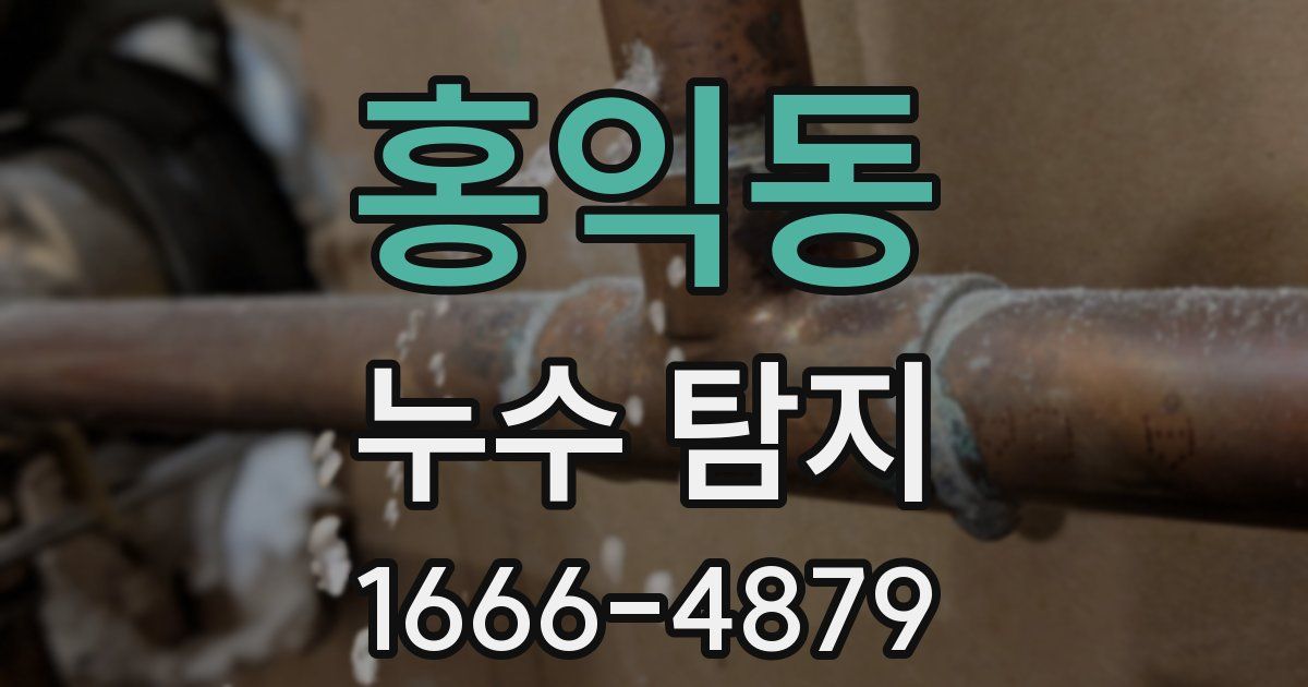 홍익동 누수 탐지