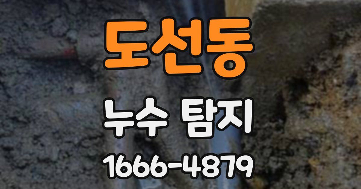 도선동 누수 탐지