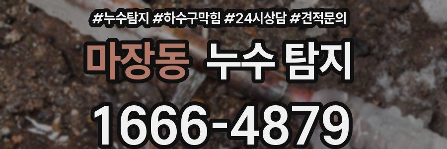 마장동 누수 탐지