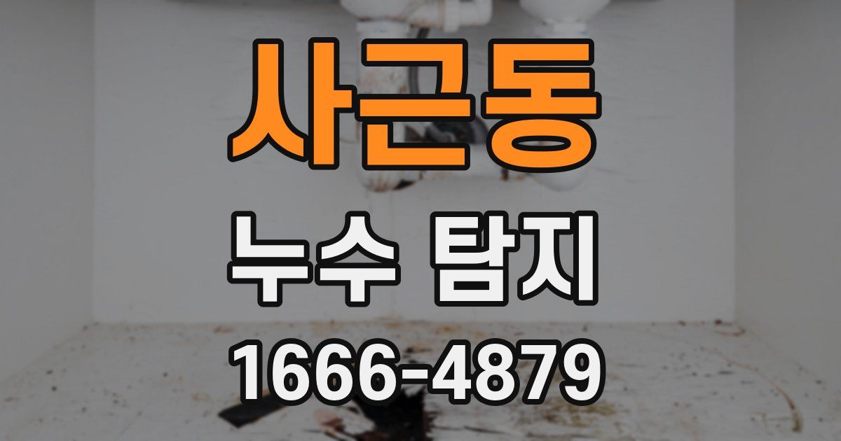 사근동 누수 탐지