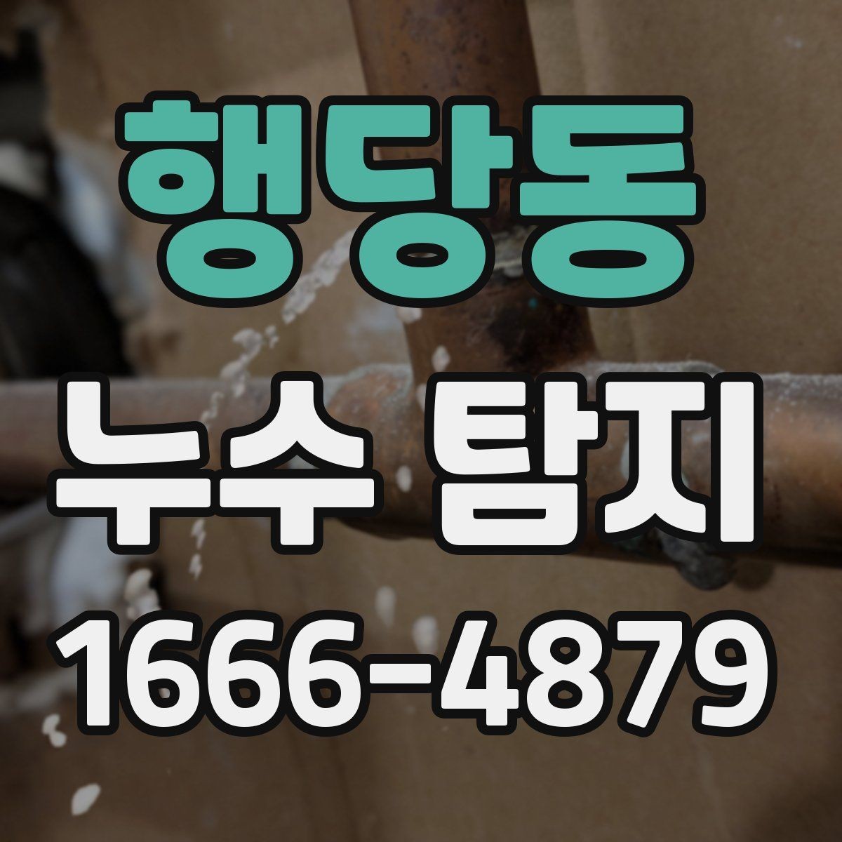 행당동 누수 탐지 비용 비교 시 놓치기 쉬운 부분
