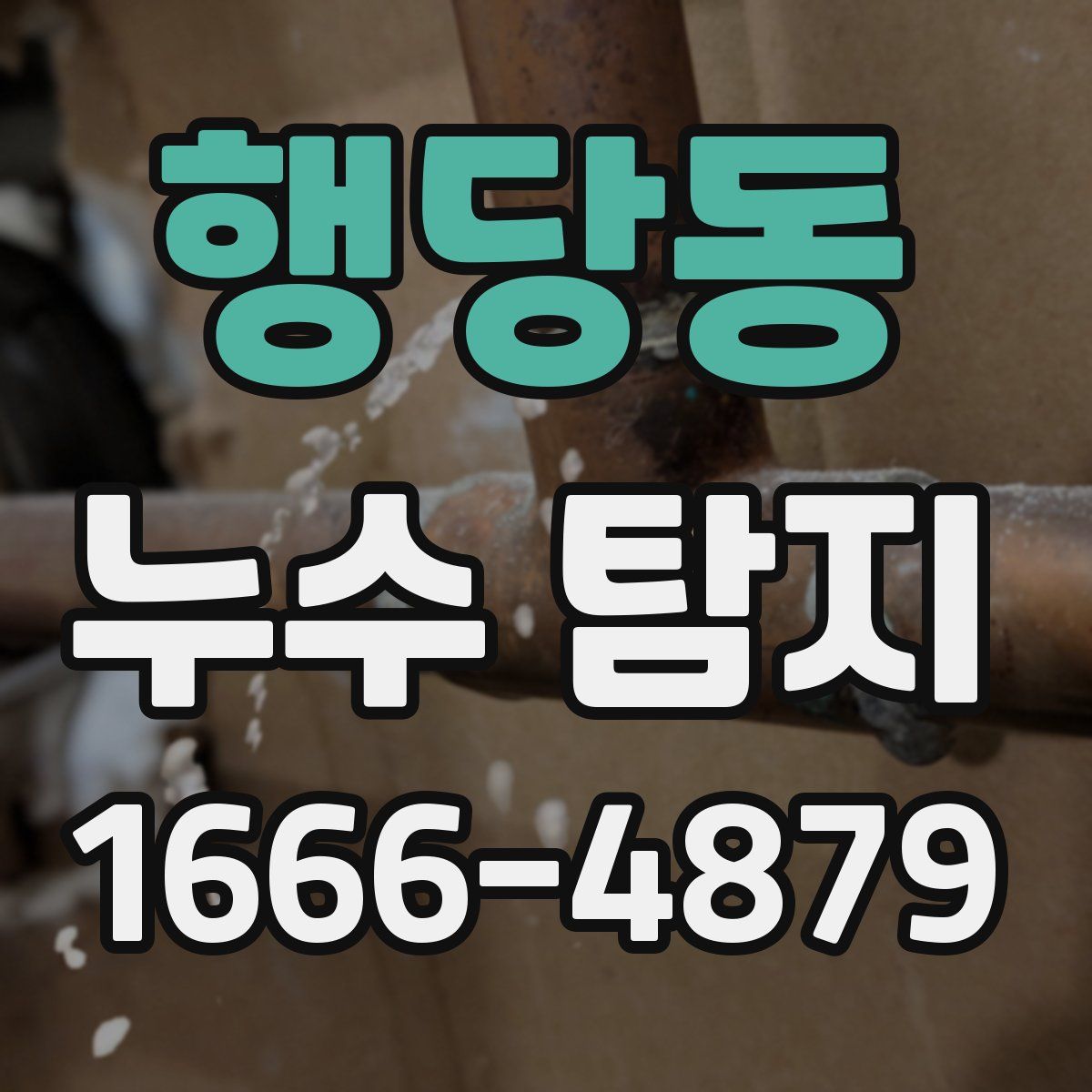 행당동 누수 탐지