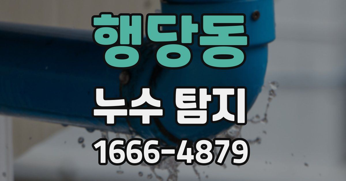 행당동 누수 탐지