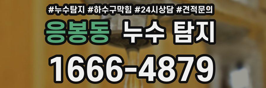응봉동 누수 탐지