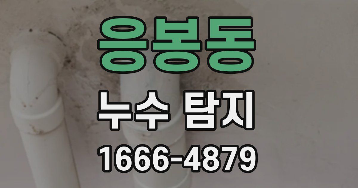 응봉동 누수 탐지