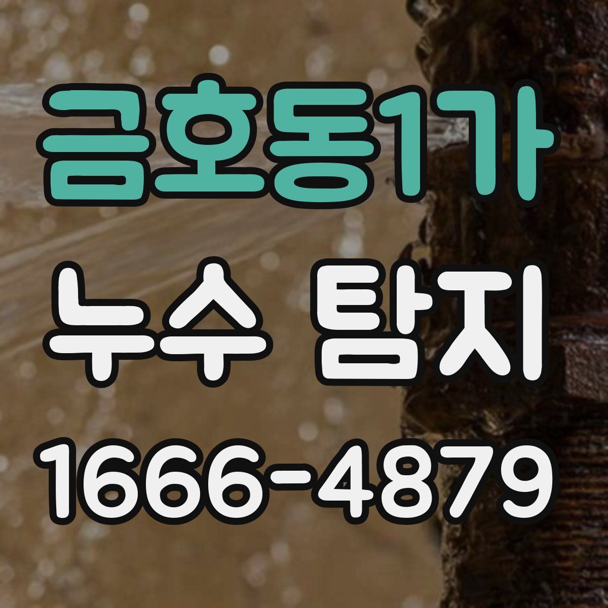 금호동1가 누수 탐지