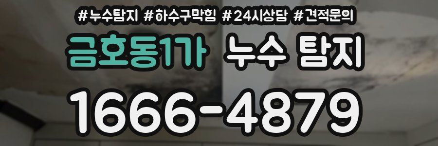 금호동1가 누수 탐지
