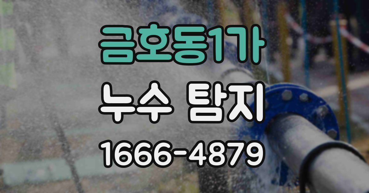 금호동1가 누수 탐지