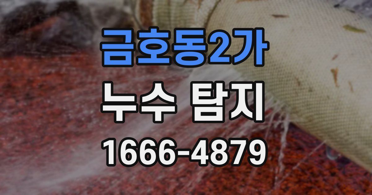 금호동2가 누수 탐지