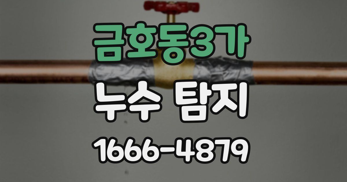 금호동3가 누수 탐지