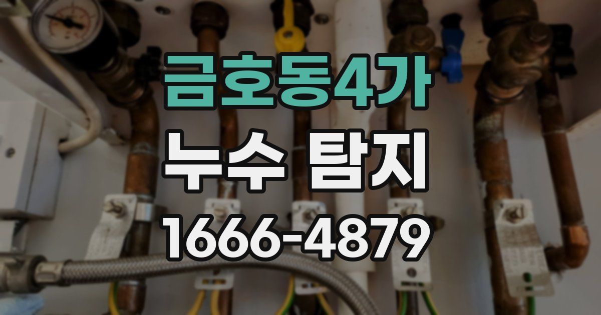 금호동4가 누수 탐지