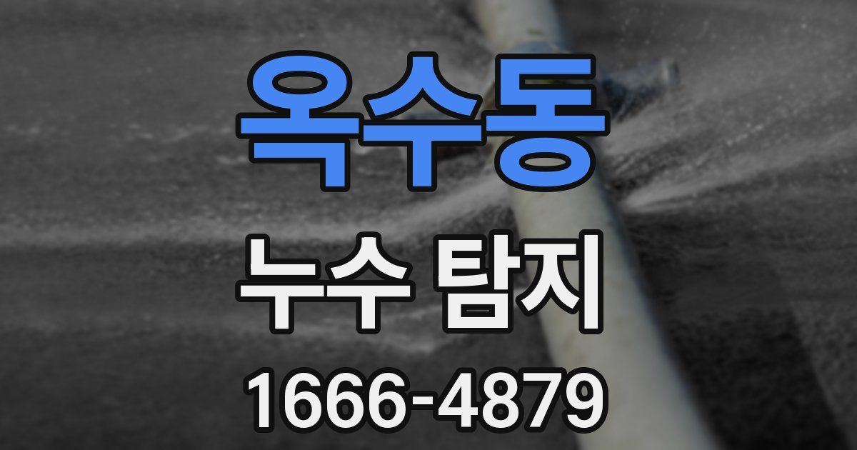 옥수동 누수 탐지