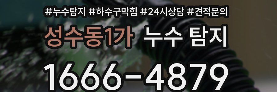 성수동1가 누수 탐지
