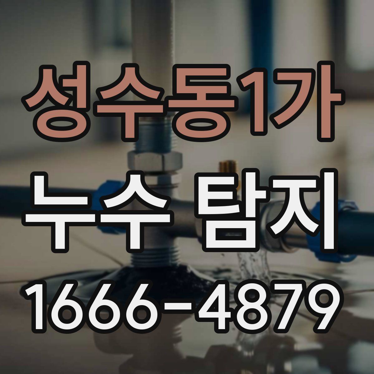 성수동1가 누수 탐지