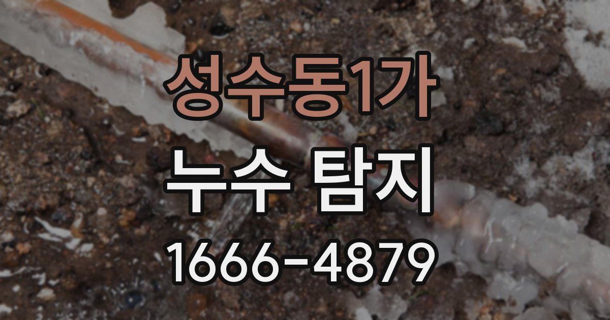 성수동1가 누수 탐지
