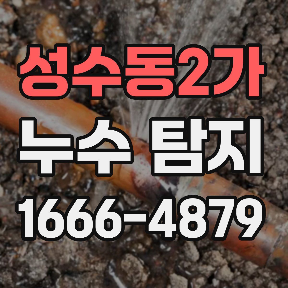 성수동2가 누수 탐지