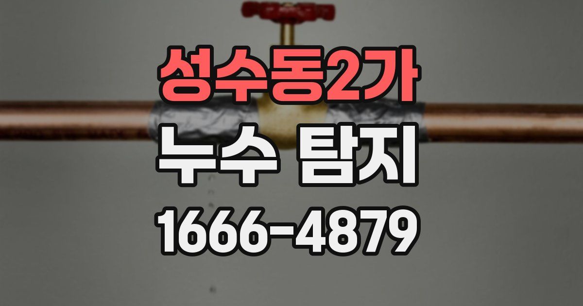 성수동2가 누수 탐지