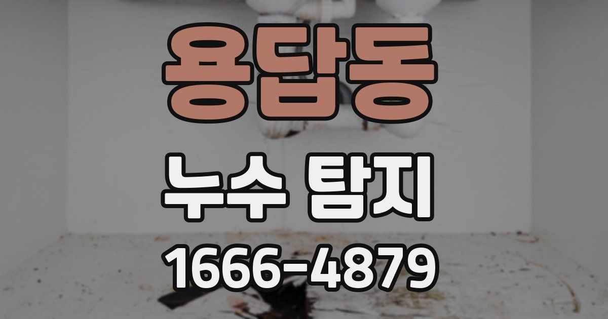 용답동 누수 탐지