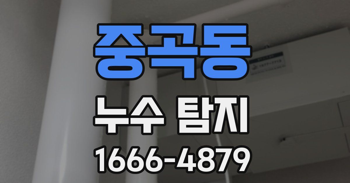 중곡동 누수 탐지