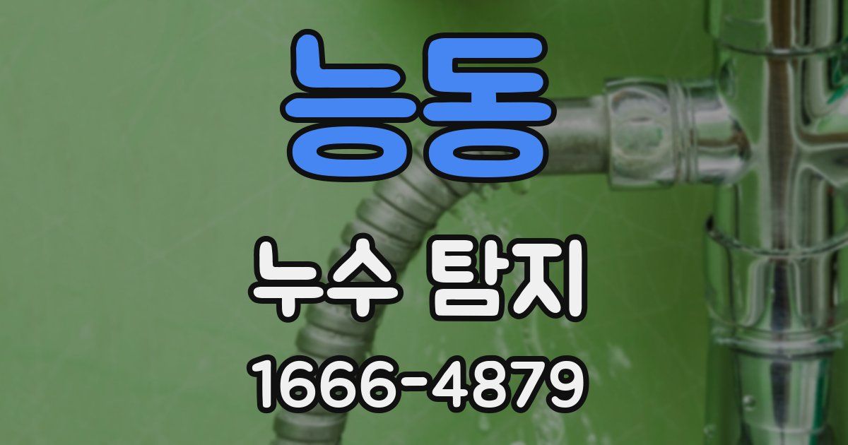능동 누수 탐지