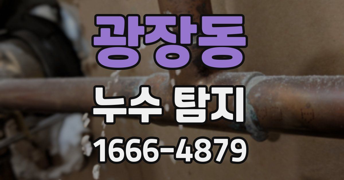 광장동 누수 탐지