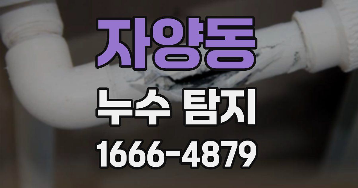 자양동 누수 탐지