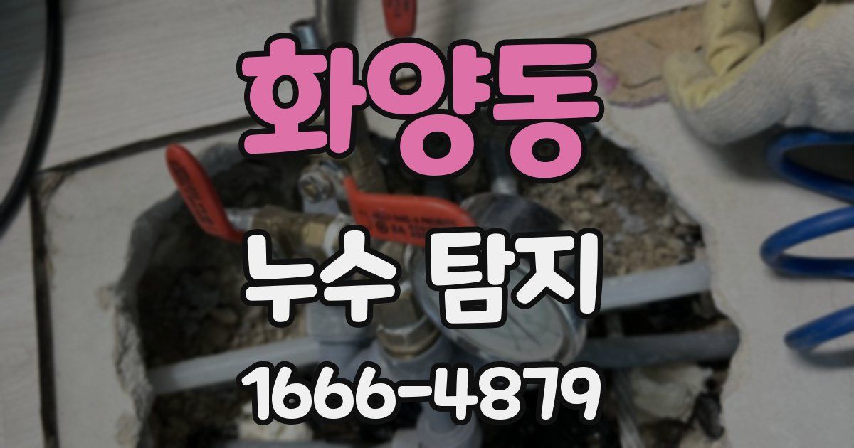 화양동 누수 탐지