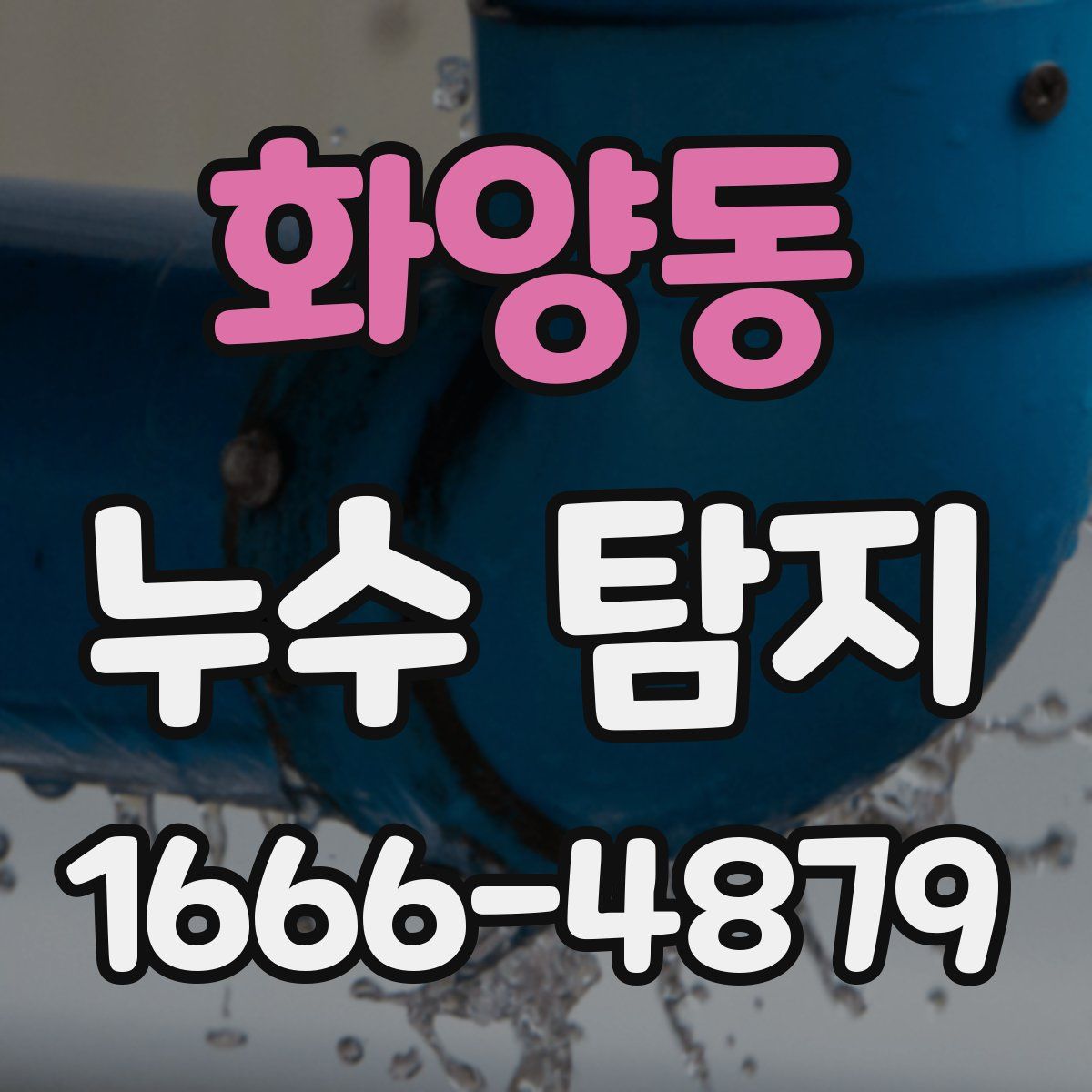 화양동 누수 탐지