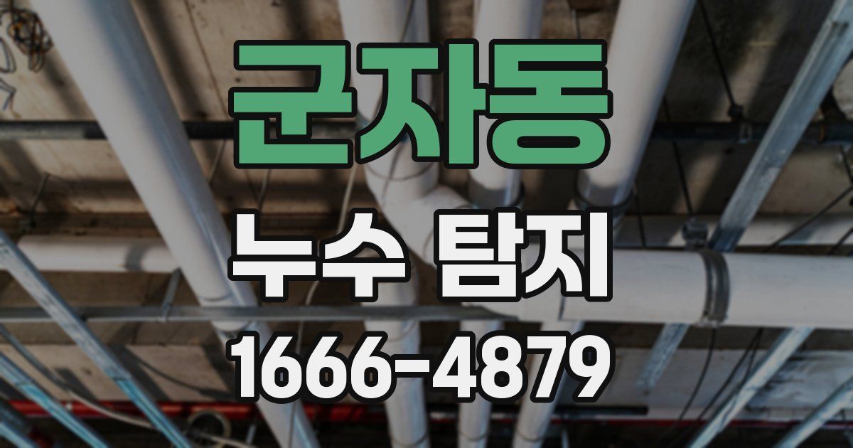 군자동 누수 탐지