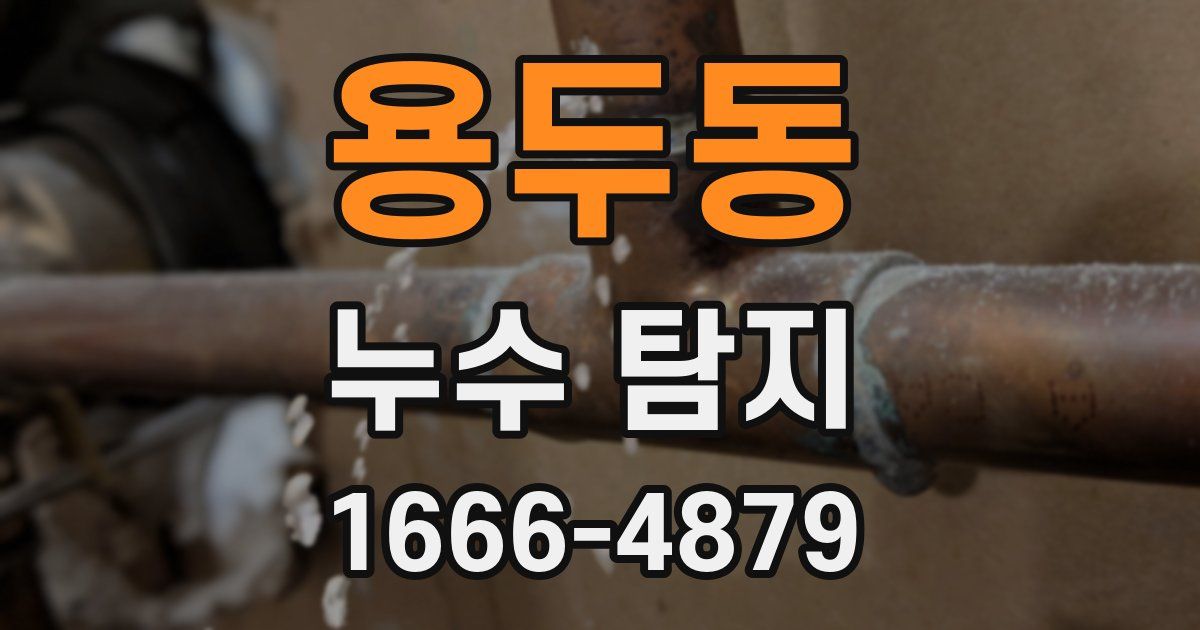 용두동 누수 탐지